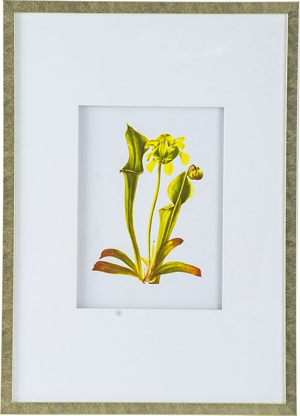 Панно Флора, Glasar SM49995