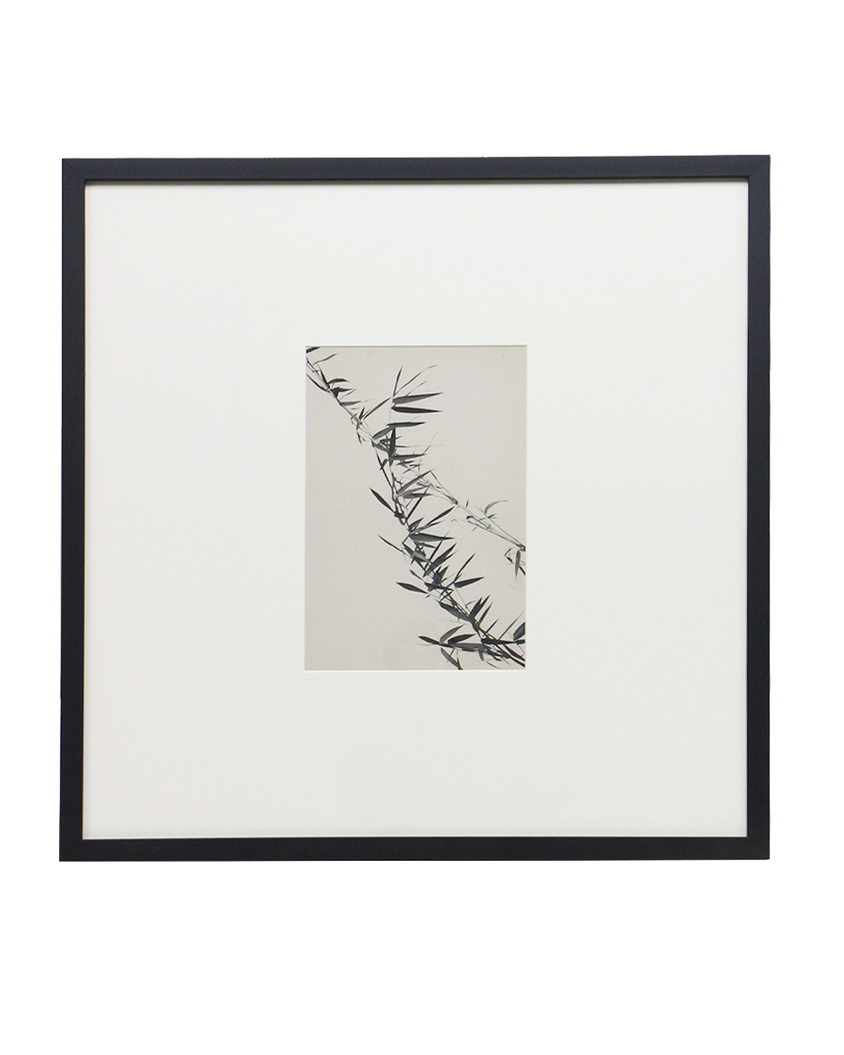 Интерьерный постер Floral - III Louvre Home DPP240924VHS