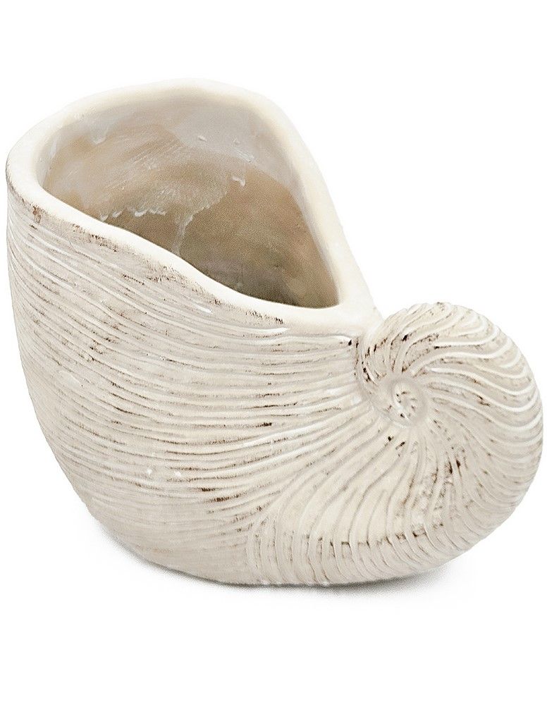 Кашпо Ракушка Glasar C5473