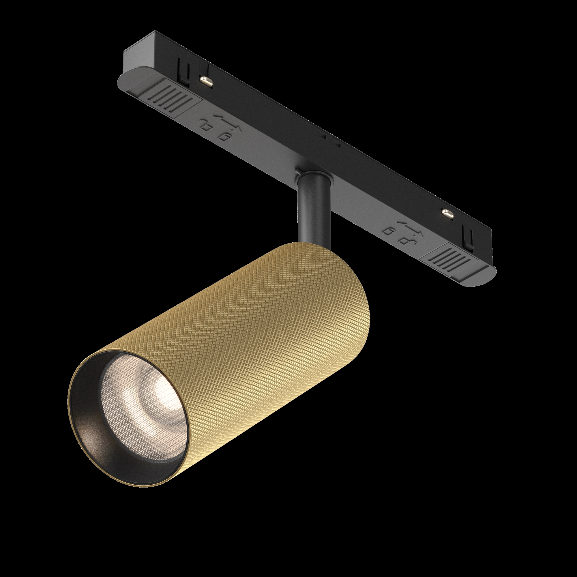 Трековый светильник Technical TR097-2-12W4K-M-BMG