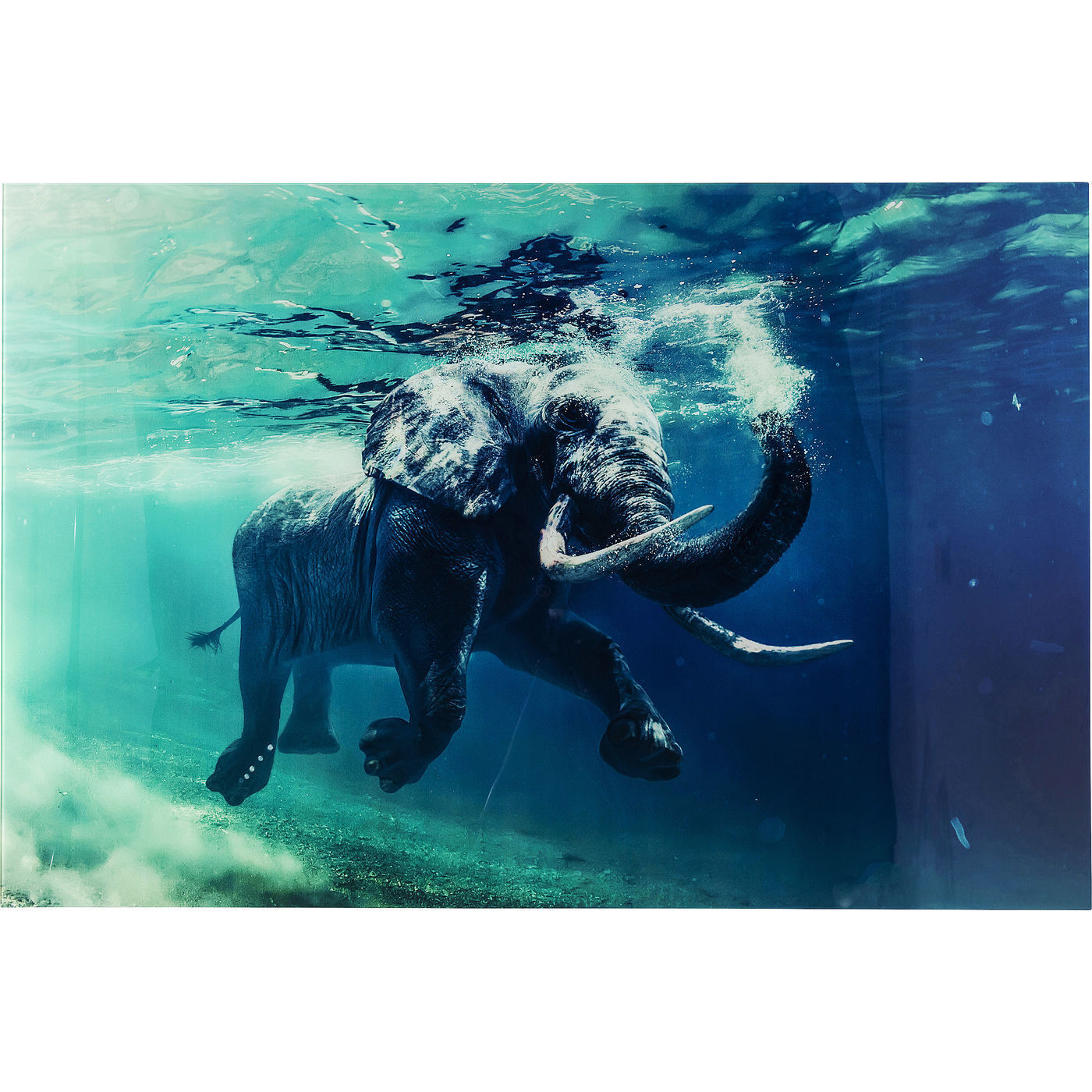 Картина Swimming Elephant 39274 KARE