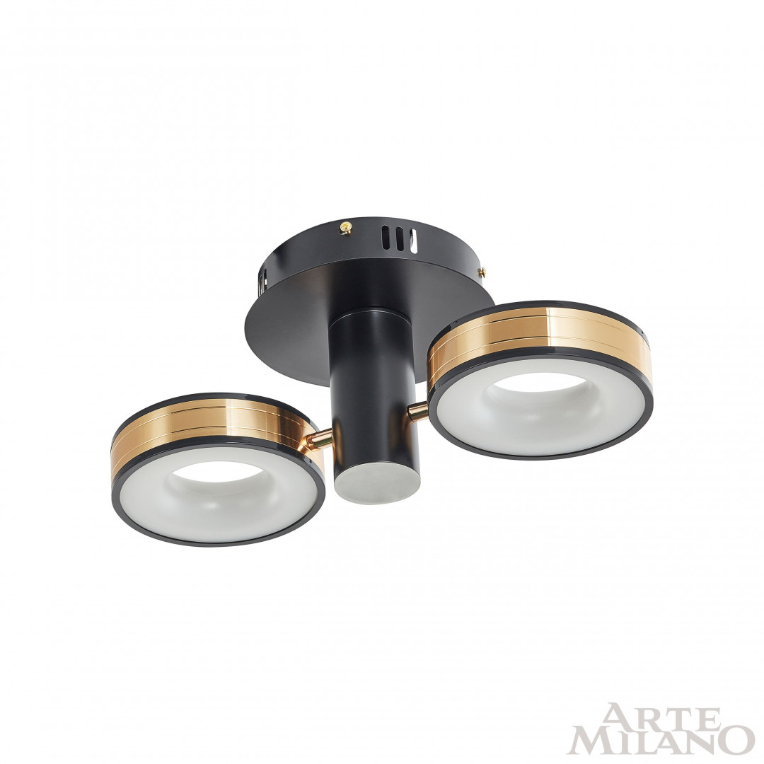 Светильник светодиодный 271040/2R BK/GD Arte Milano