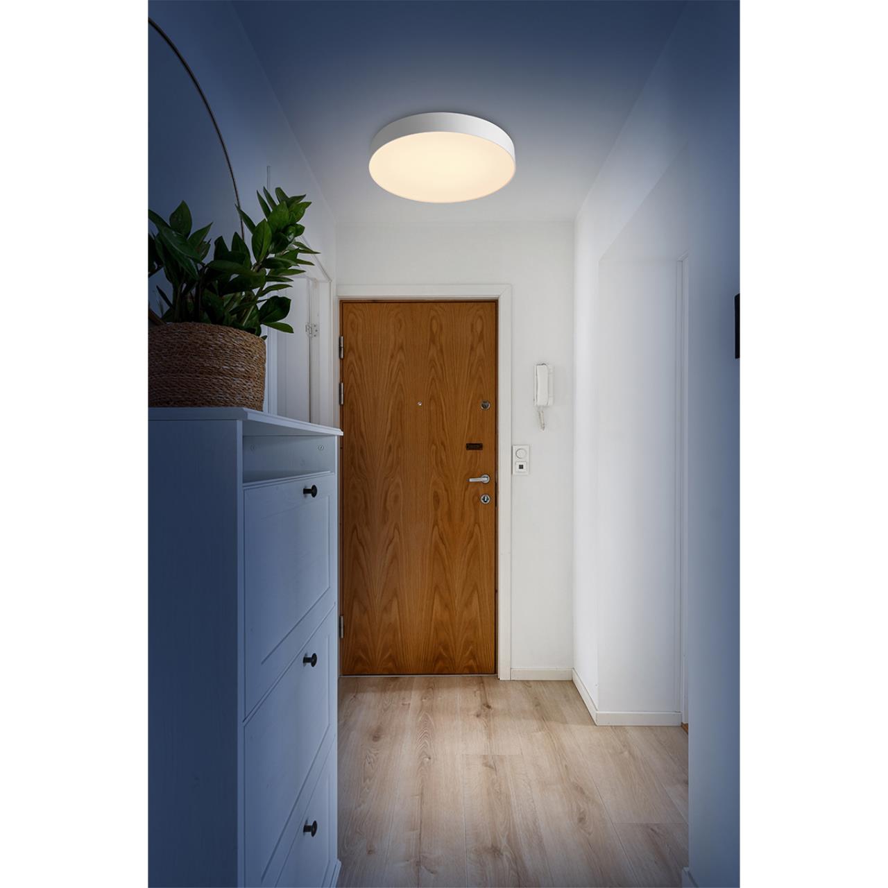 Настенно-потолочный светильник Sonex 7779/ELN