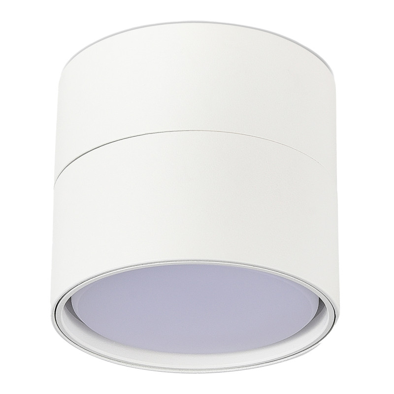 Накладной светильник ST-Luce ST651.502.01