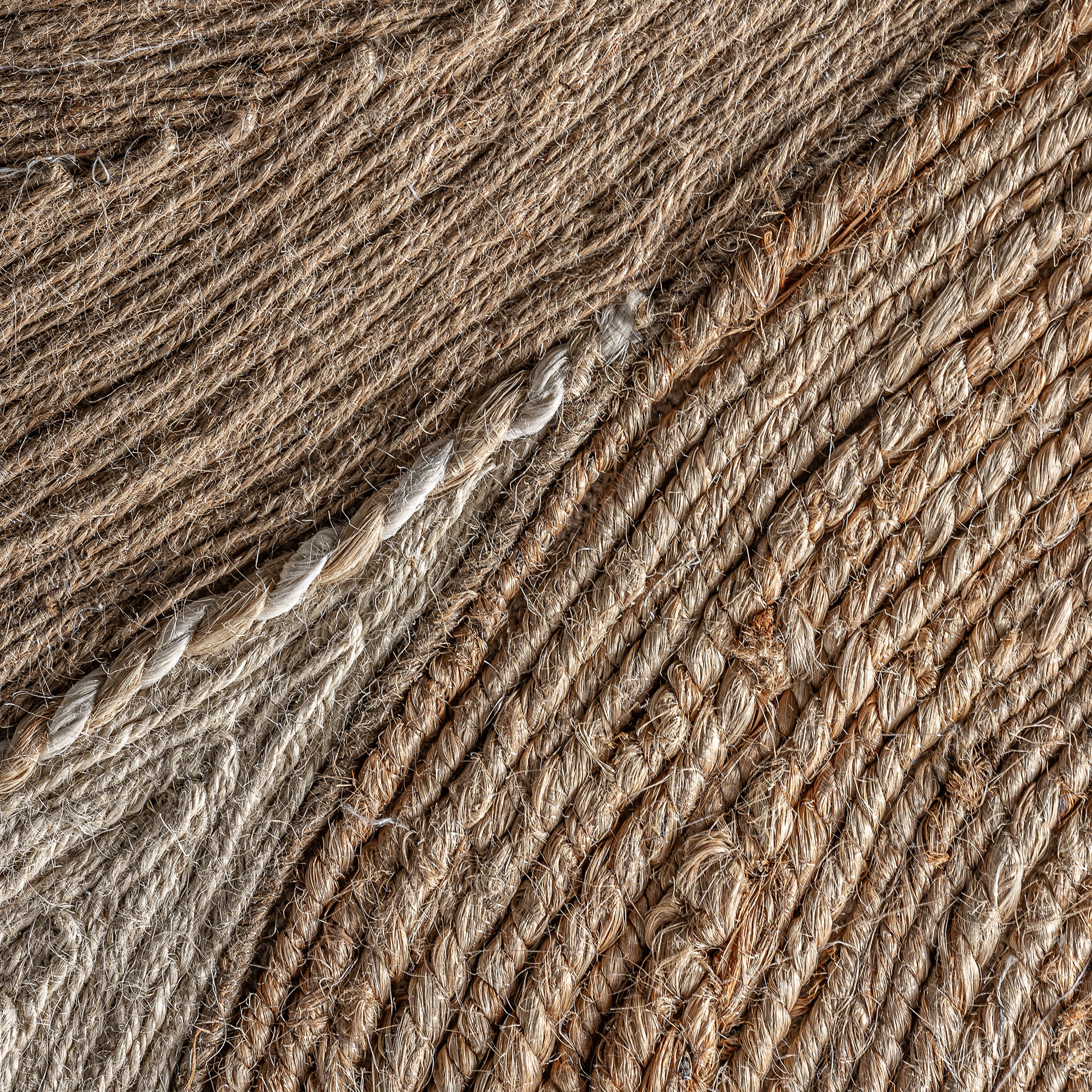 Картина ZEUS Vical