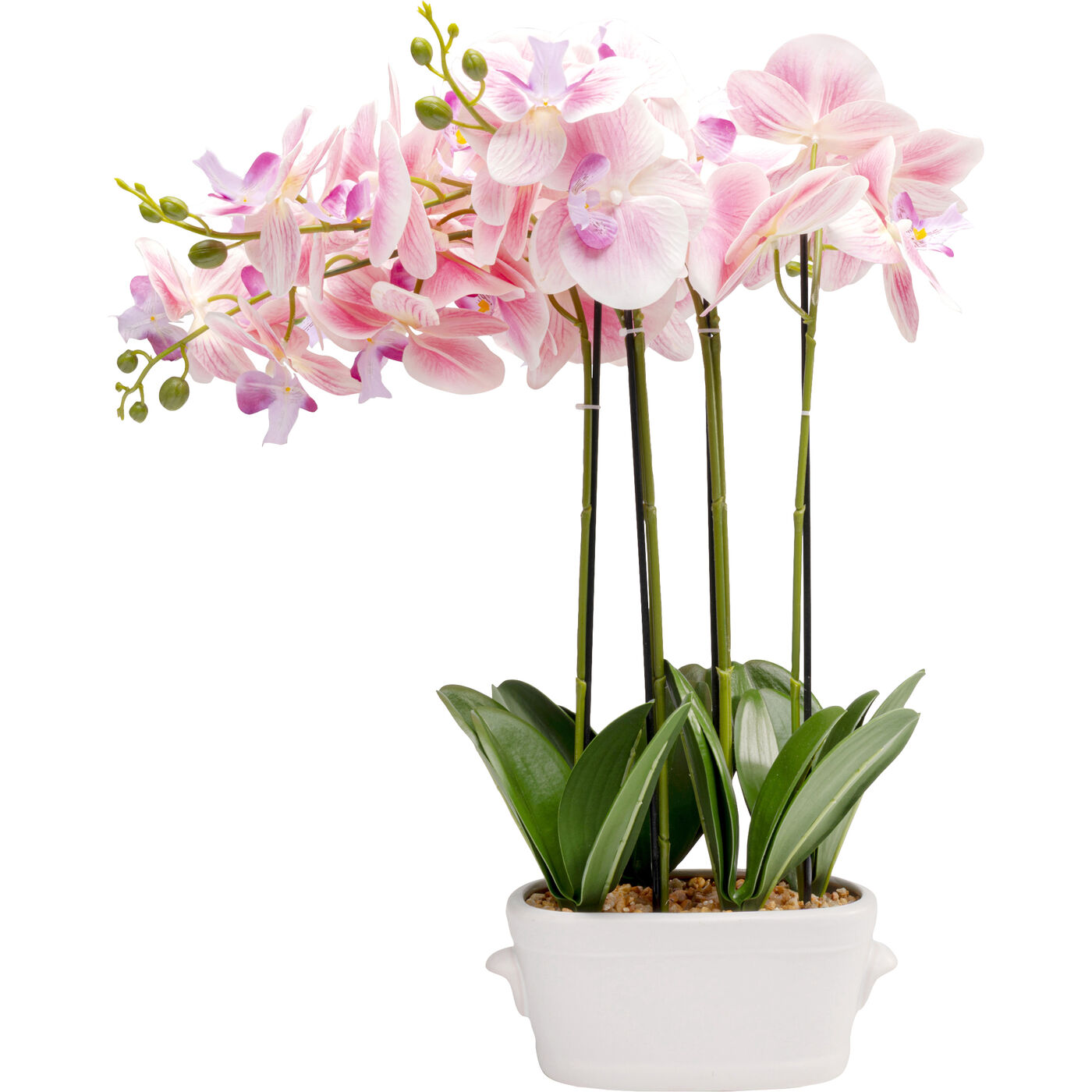 Растение декоративное Orchid Pod 55cm KARE 58350