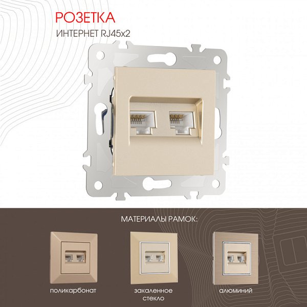 Розетка Arte Milano 203.45-2.shampan