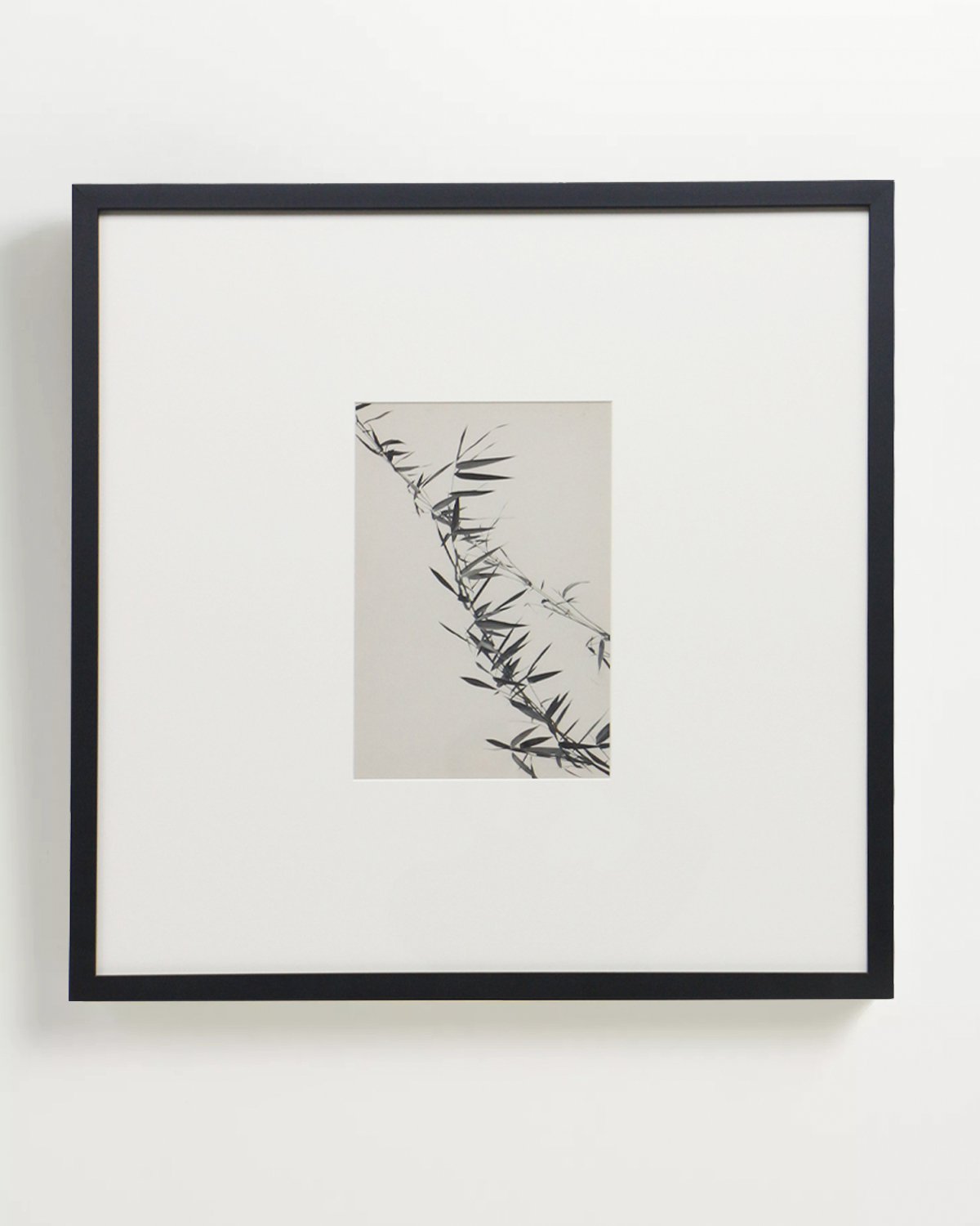 Интерьерный постер Floral - III Louvre Home DPP240924VHS