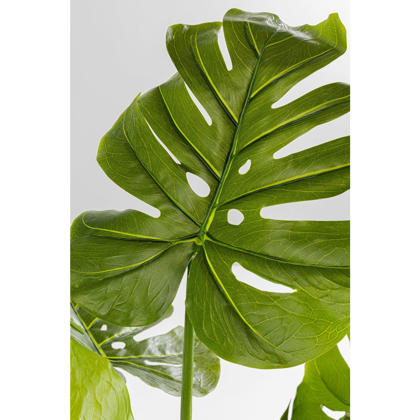Предмет декоративный Monstera 51683 KARE