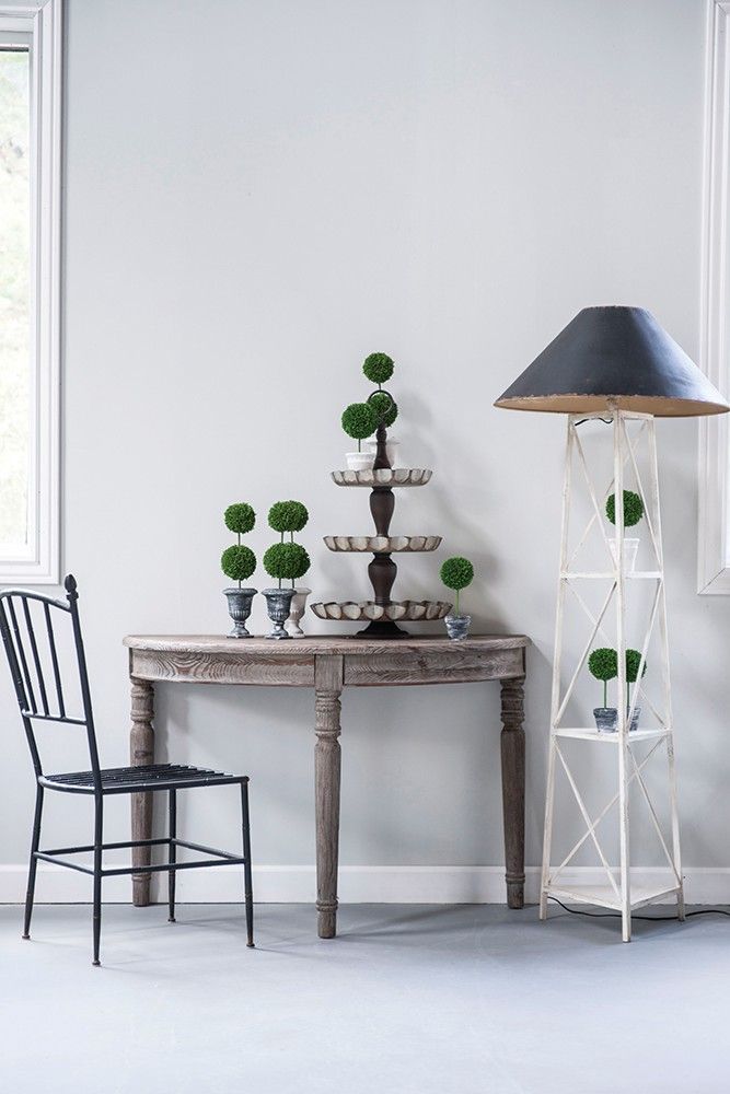 Растения декоративные Самшит, набор Glasar 29570-CREA