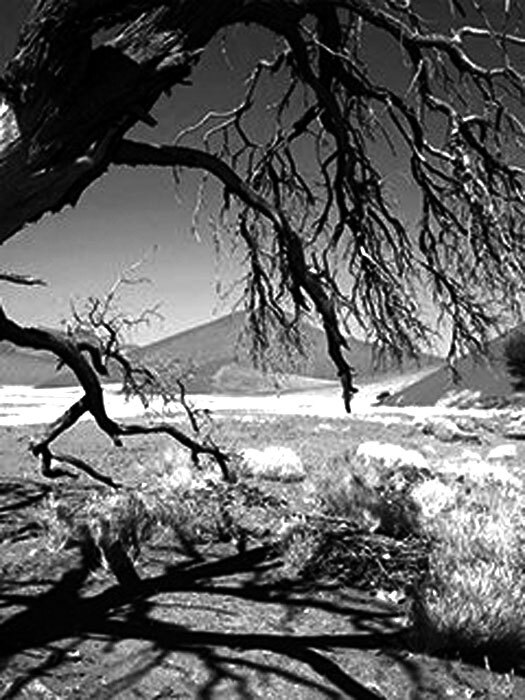 Торшер Brand Van Egmond Hollywood H190 Nickel