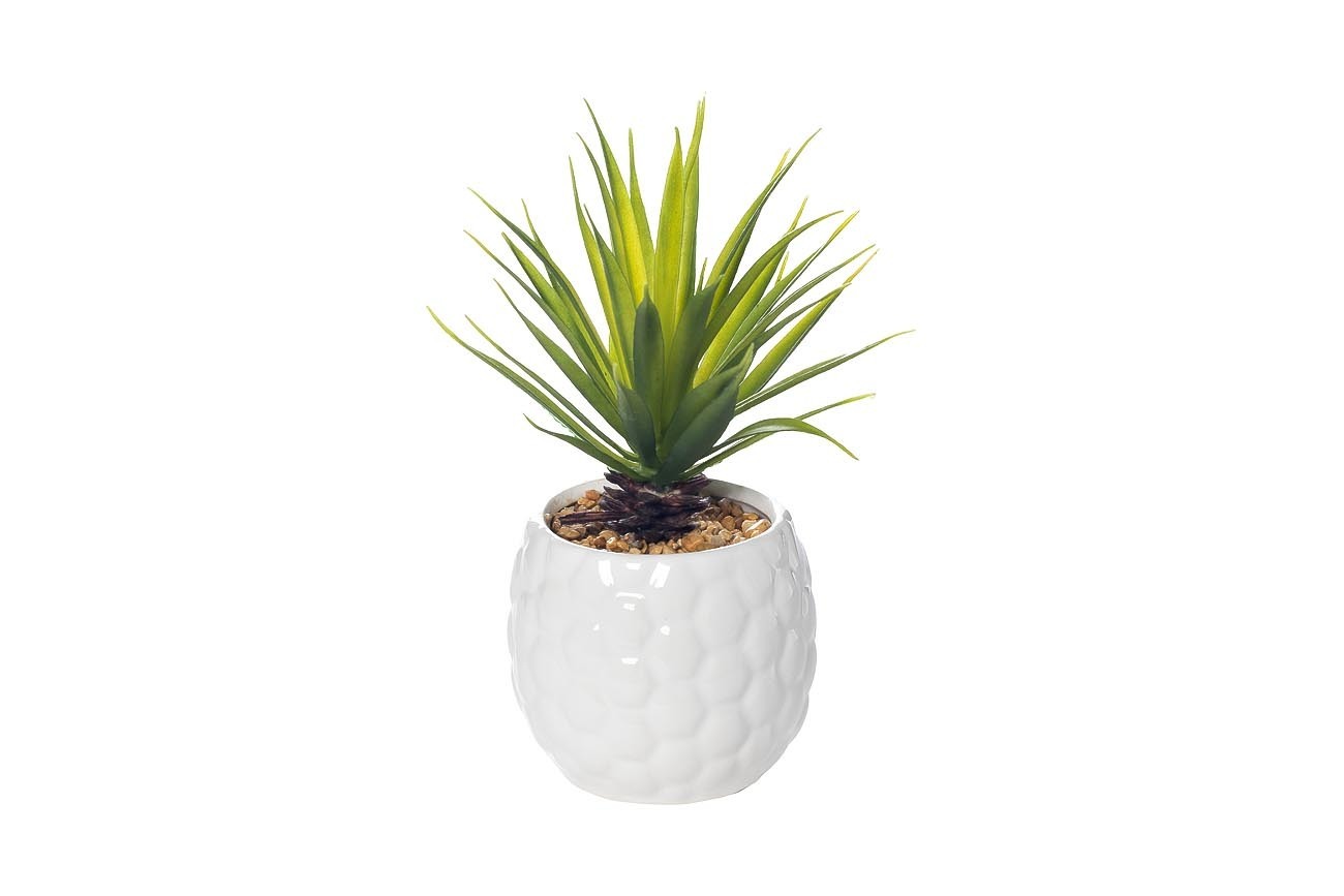 Суккулент в белом горшке Garda Decor 8J-5284 WH