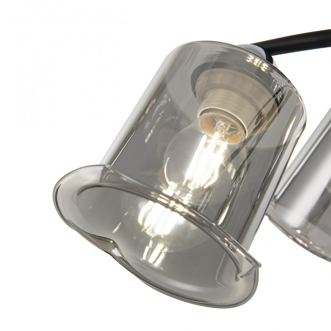 Люстра с плафонами 323219/5 CR+BK Arte Milano