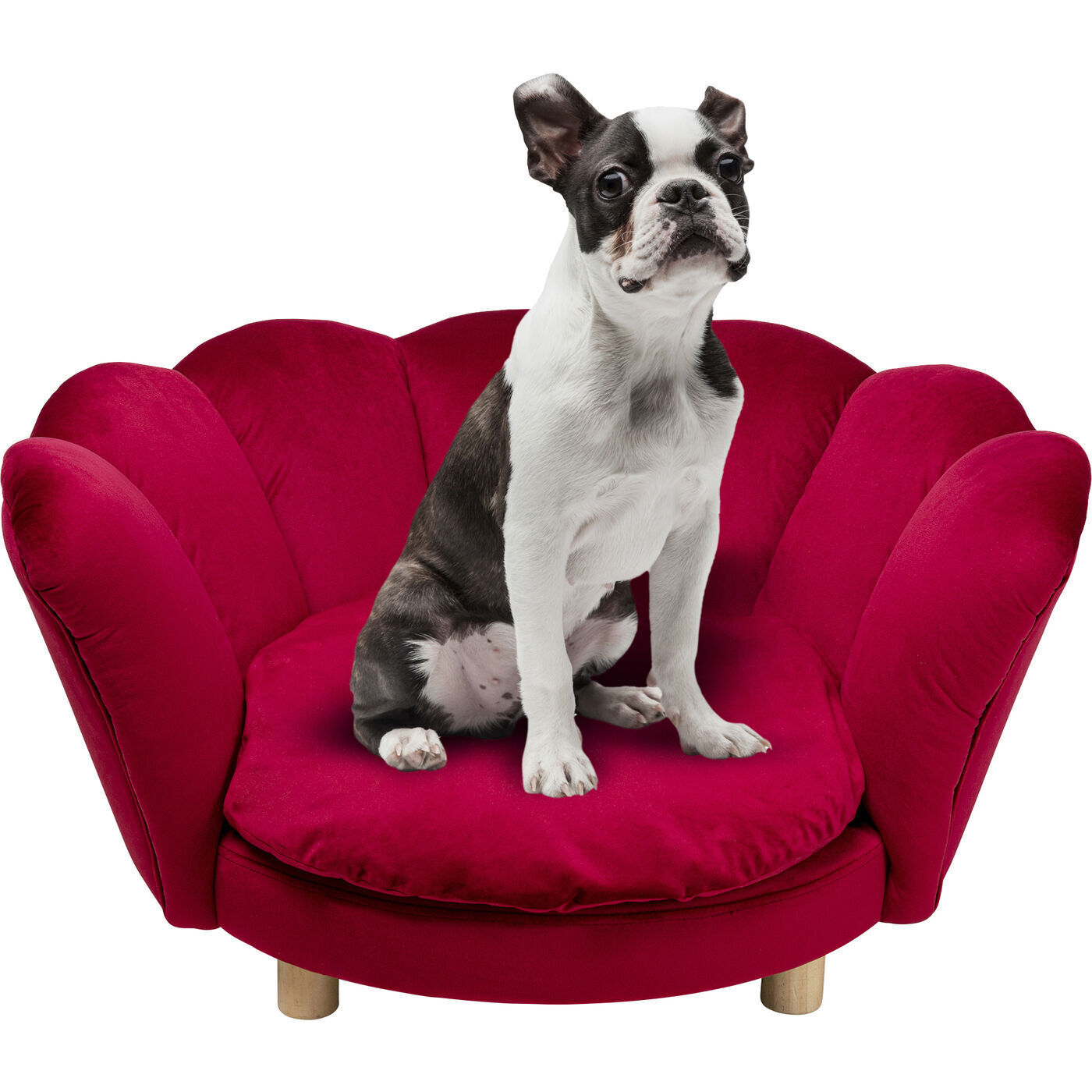 Лежак для собак KARE Water Lily 86371