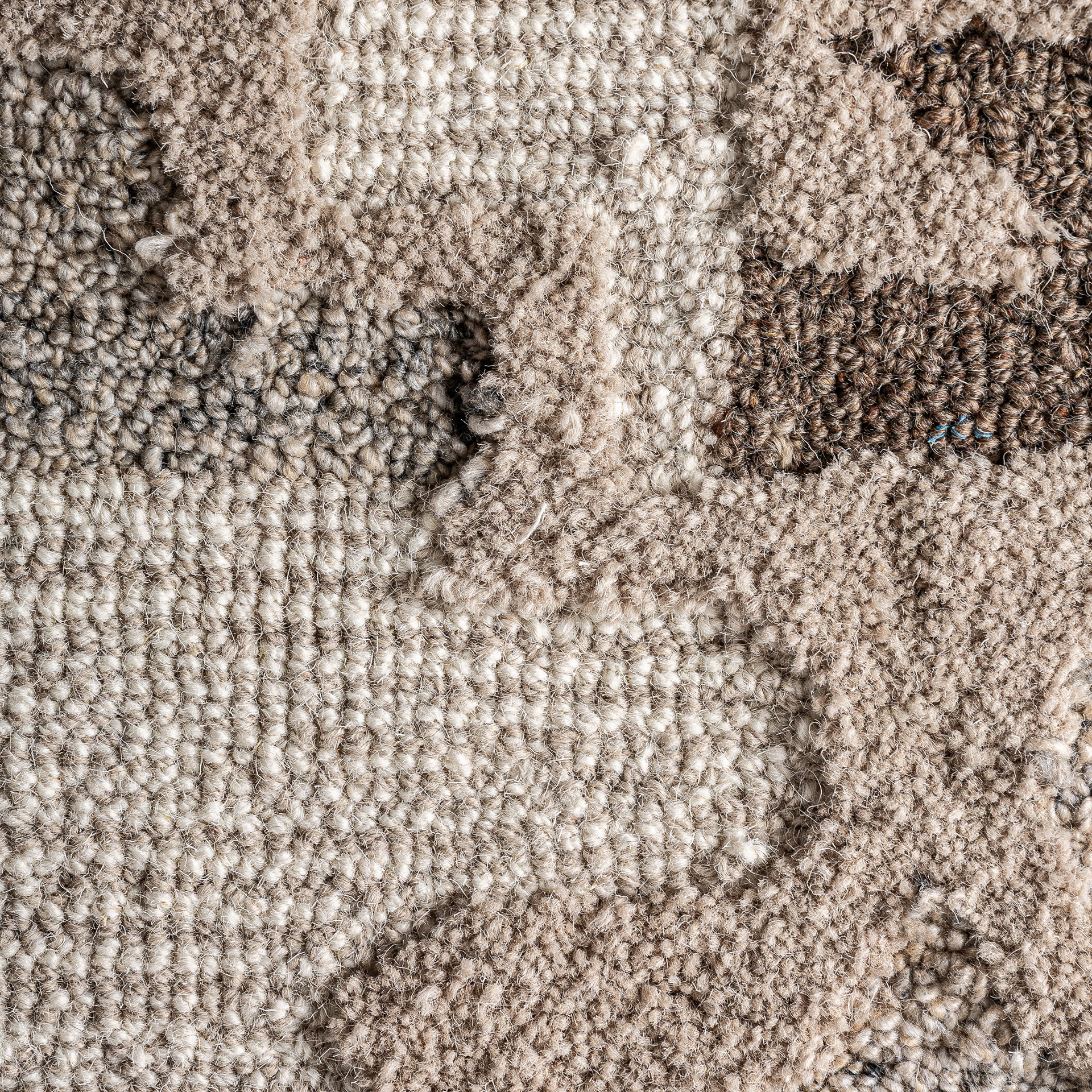 Картина IVAR Vical