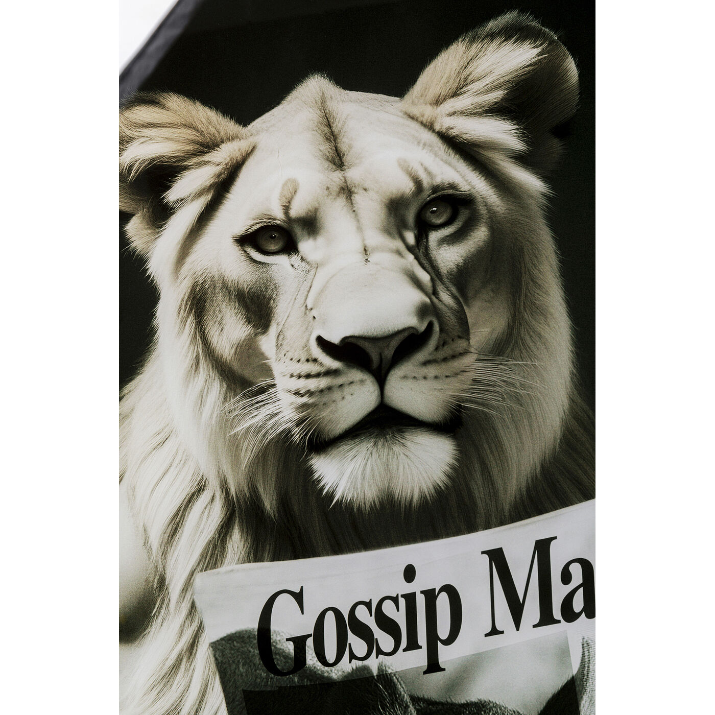 Картина стеклянная Bath Tiger 60x80 см KARE 56275