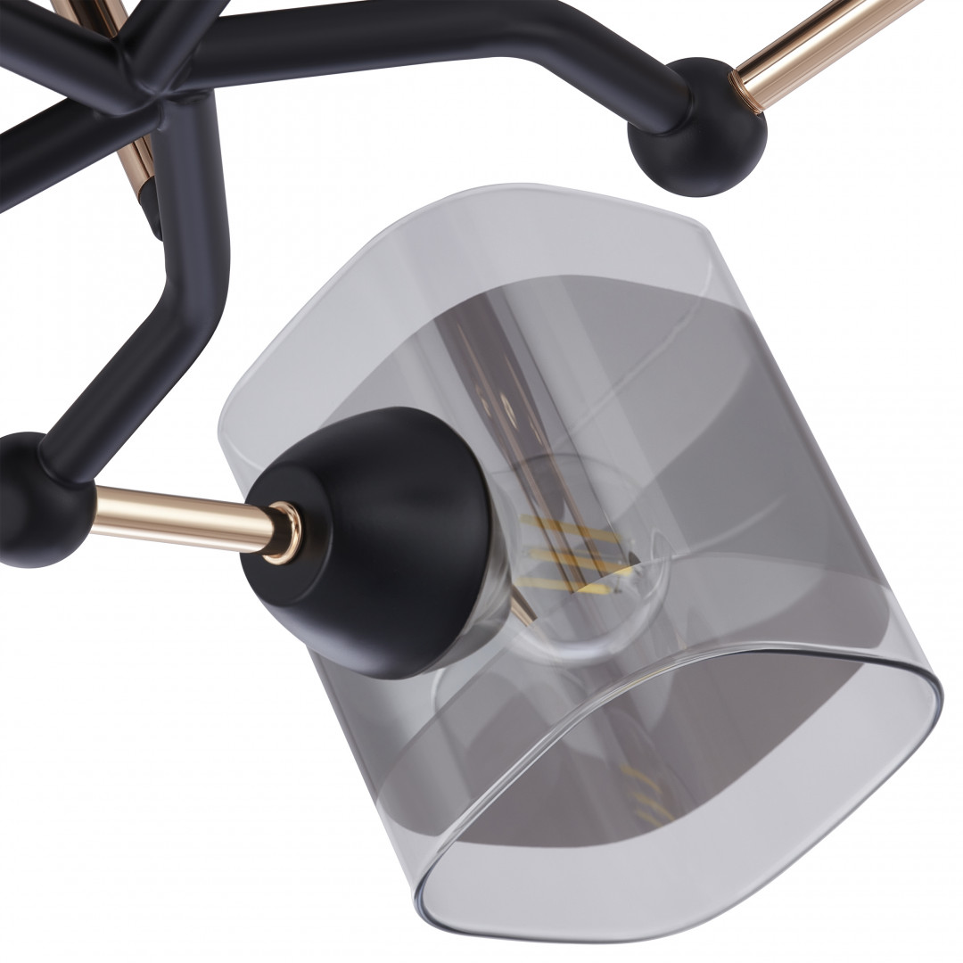 Люстра с плафонами 324308/5 BK+FG Arte Milano