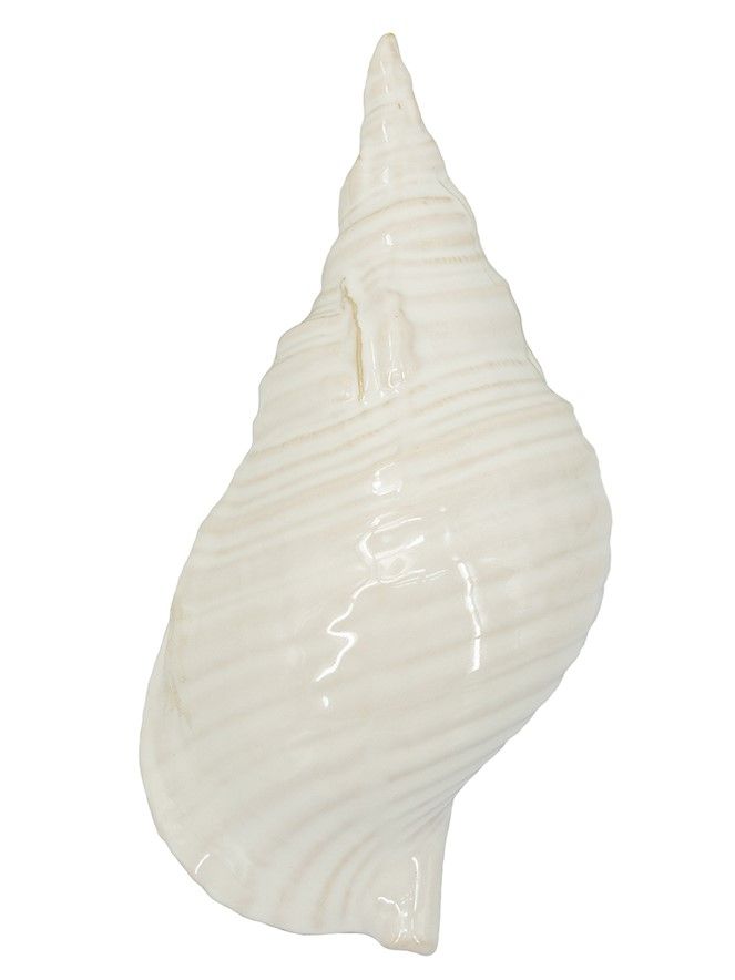 Декор настольный Ракушка Glasar C6111