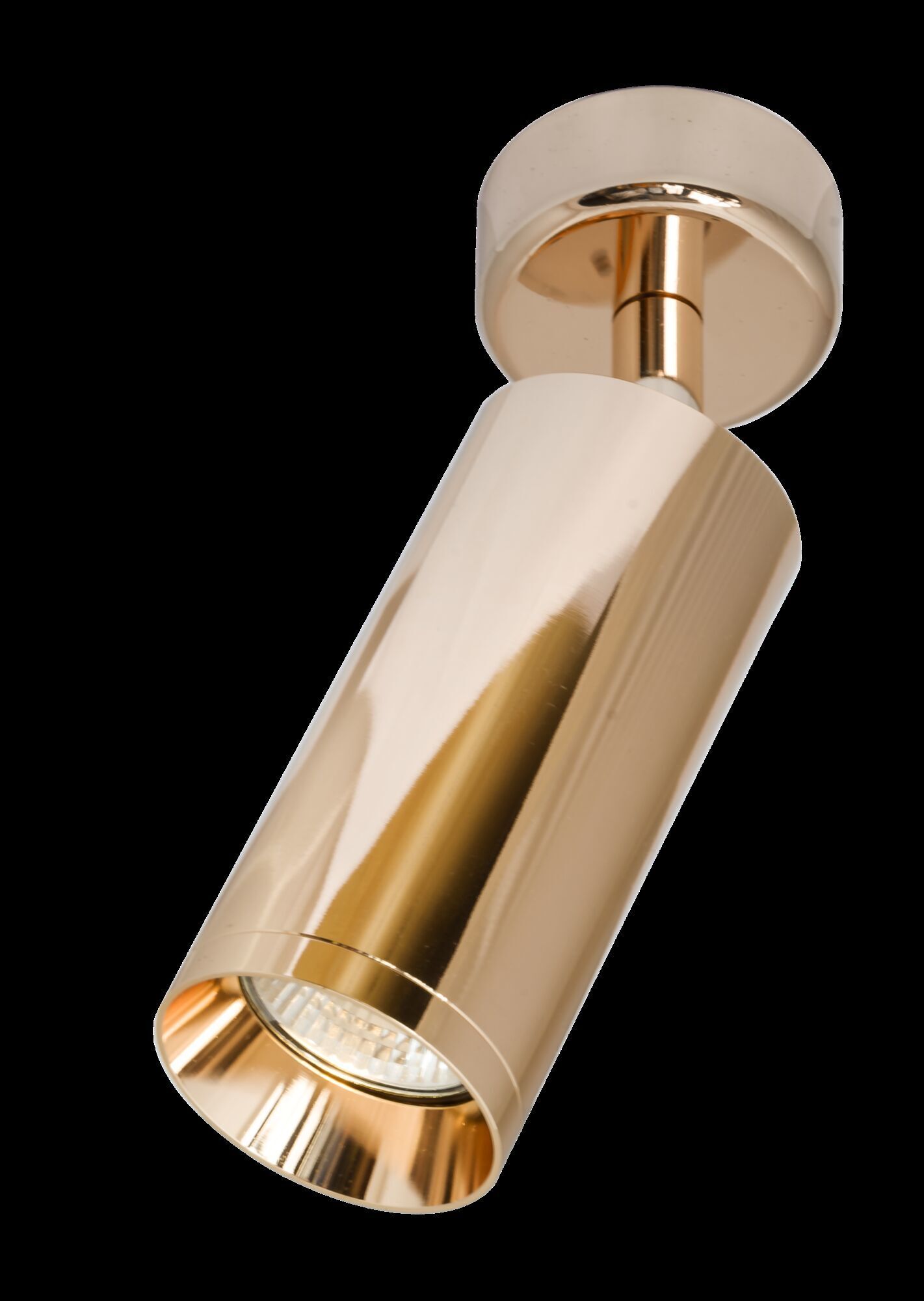 Потолочный светильник Maytoni C017CW-01RG