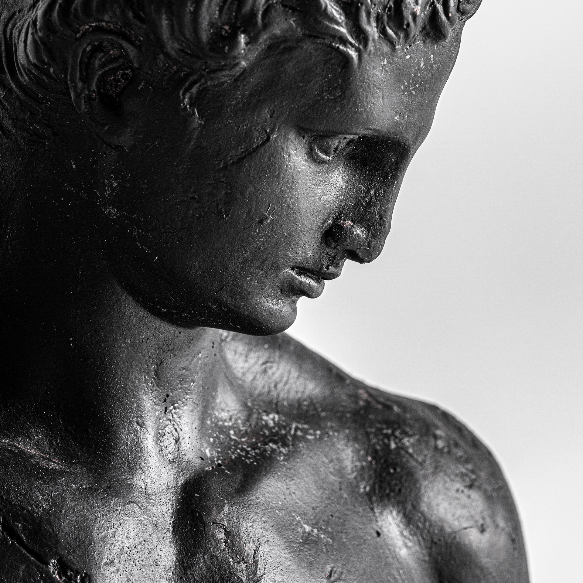 Бюст 33798 Vical