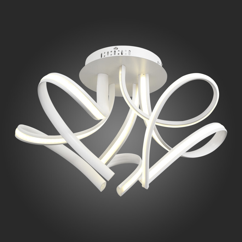 Накладной светильник ST Luce SL954.502.05