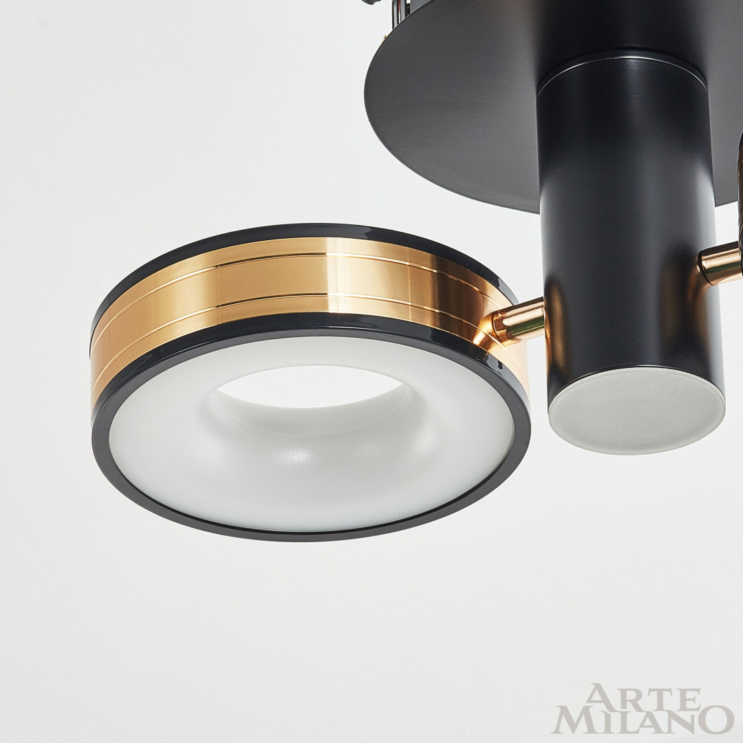 Светильник светодиодный 271040/2R BK/GD Arte Milano