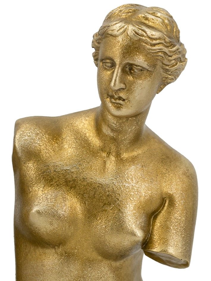 Держатели для книг Венера Милосская Glasar B5512