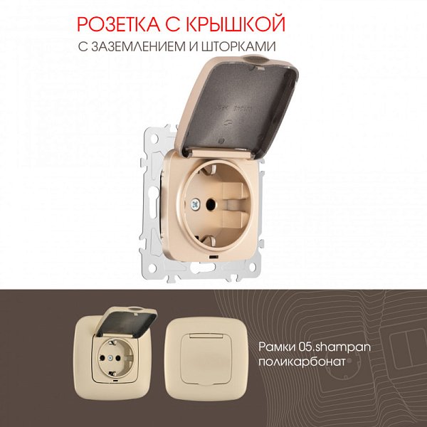 Розетка Arte Milano 205.41-1.shampan