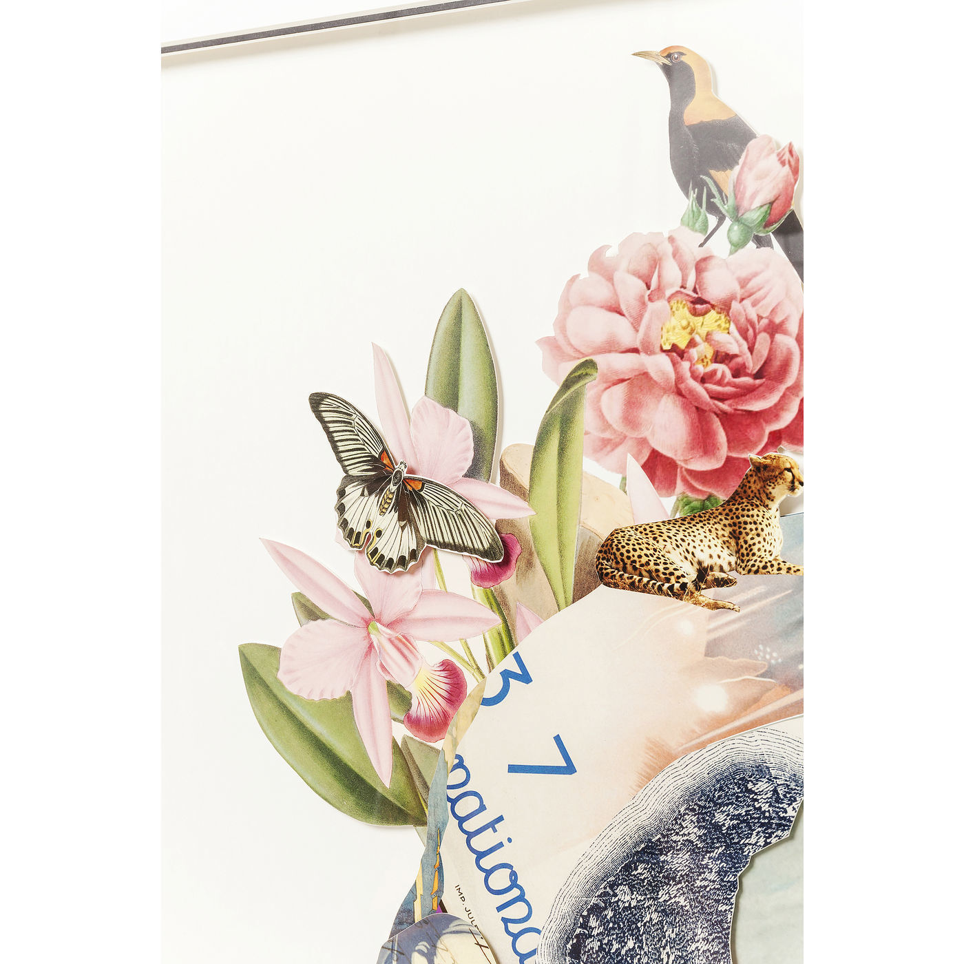 Картина в рамке Skull 60436 KARE