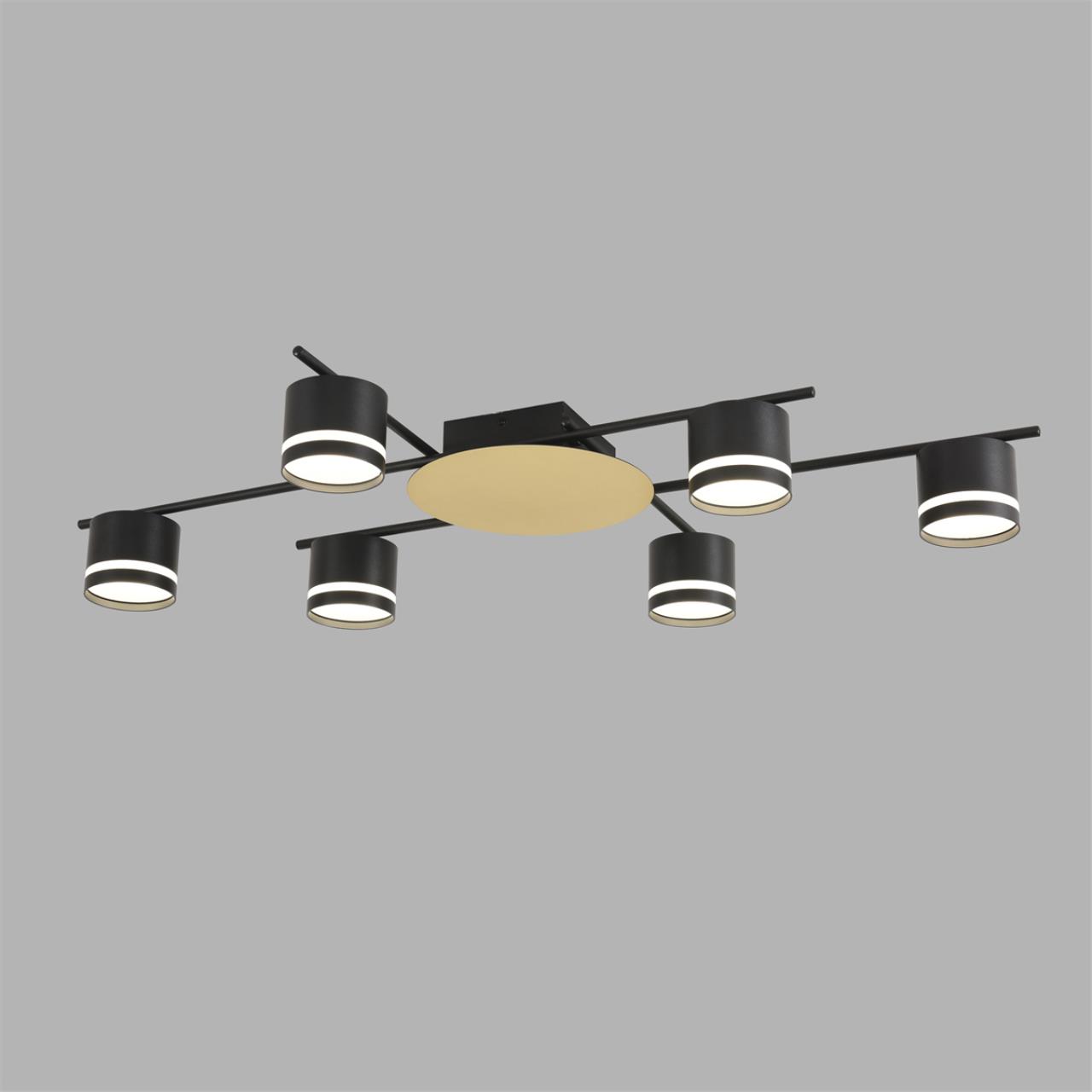 Светильник потолочный Lumion 8304/6C