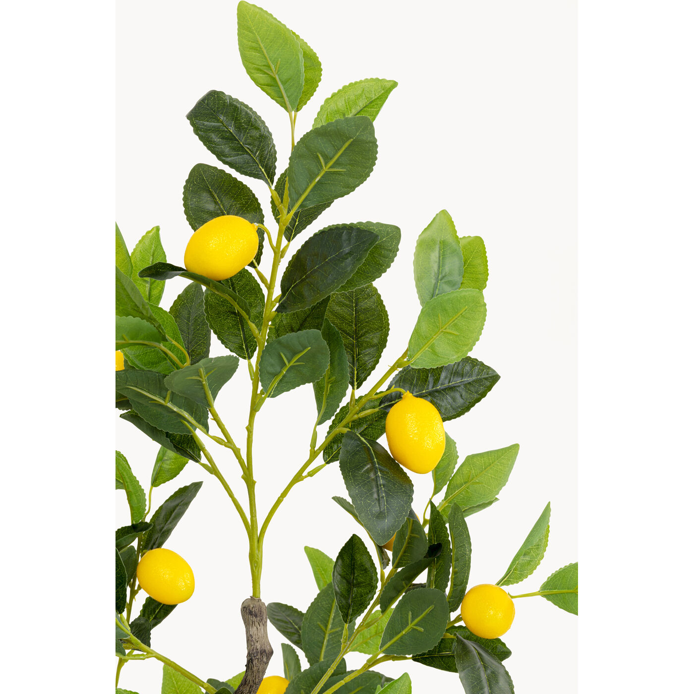 Растение декоративное Lemon Tree 120cm KARE 58352