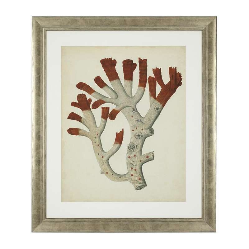 Постер Eichholtz Antique red corals 111741