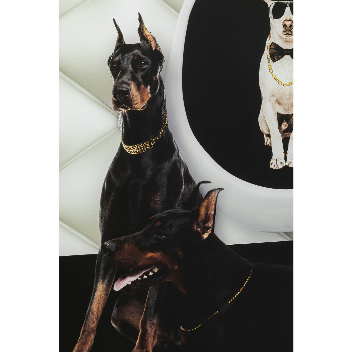 Картина Bodyguards Of King Dog 52582 KARE