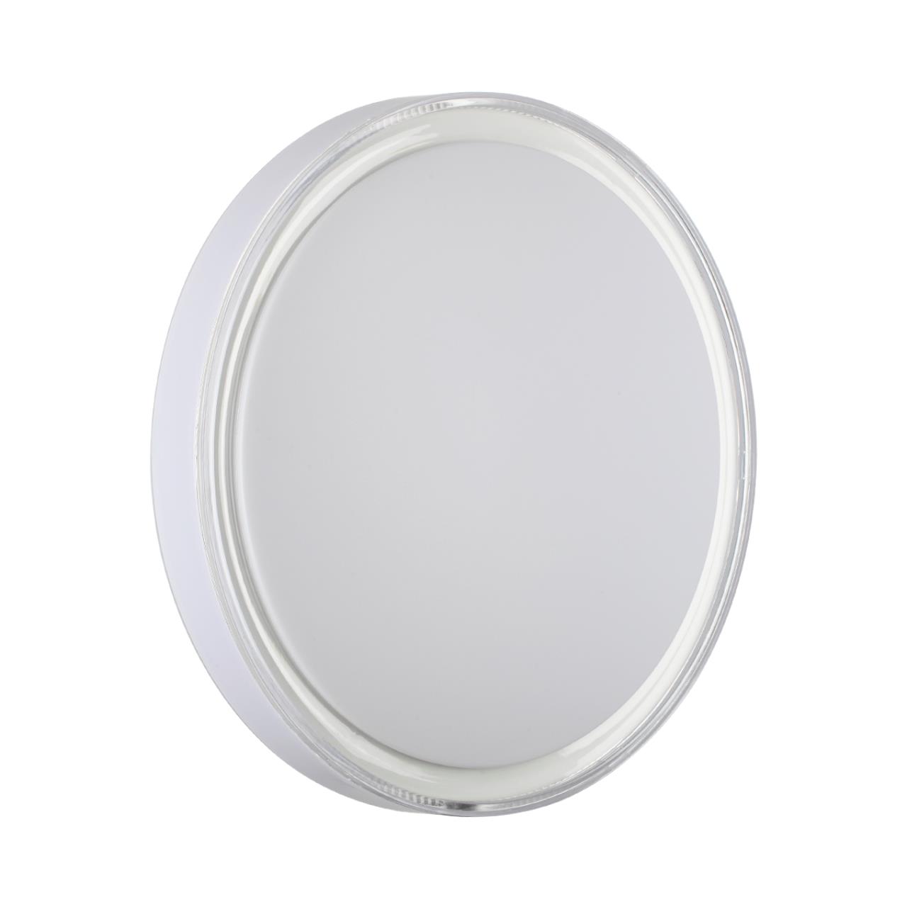 Настенно-потолочный светильник Sonex 7699/DL