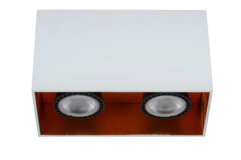 Накладной светильник LUCIDE 22966/02/31