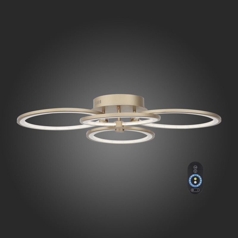 Накладной светильник ST Luce SL867.202.04