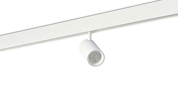 Светодиодный светильник Donolux DL20295NW15WND