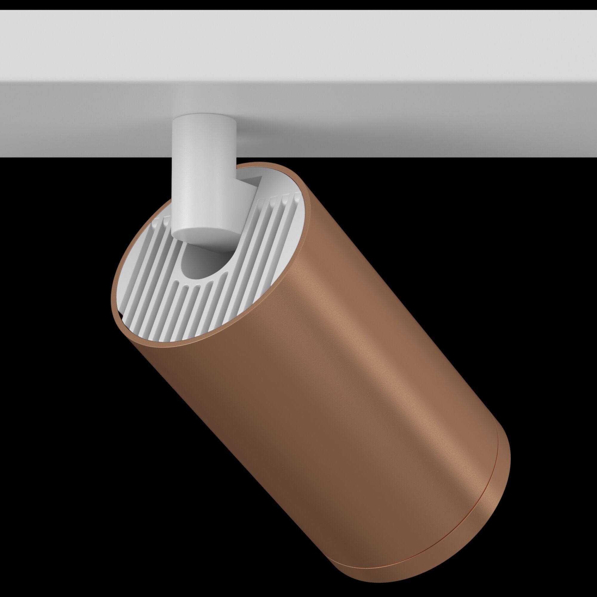 Потолочный светильник (Набор) Maytoni C051CL-2WC