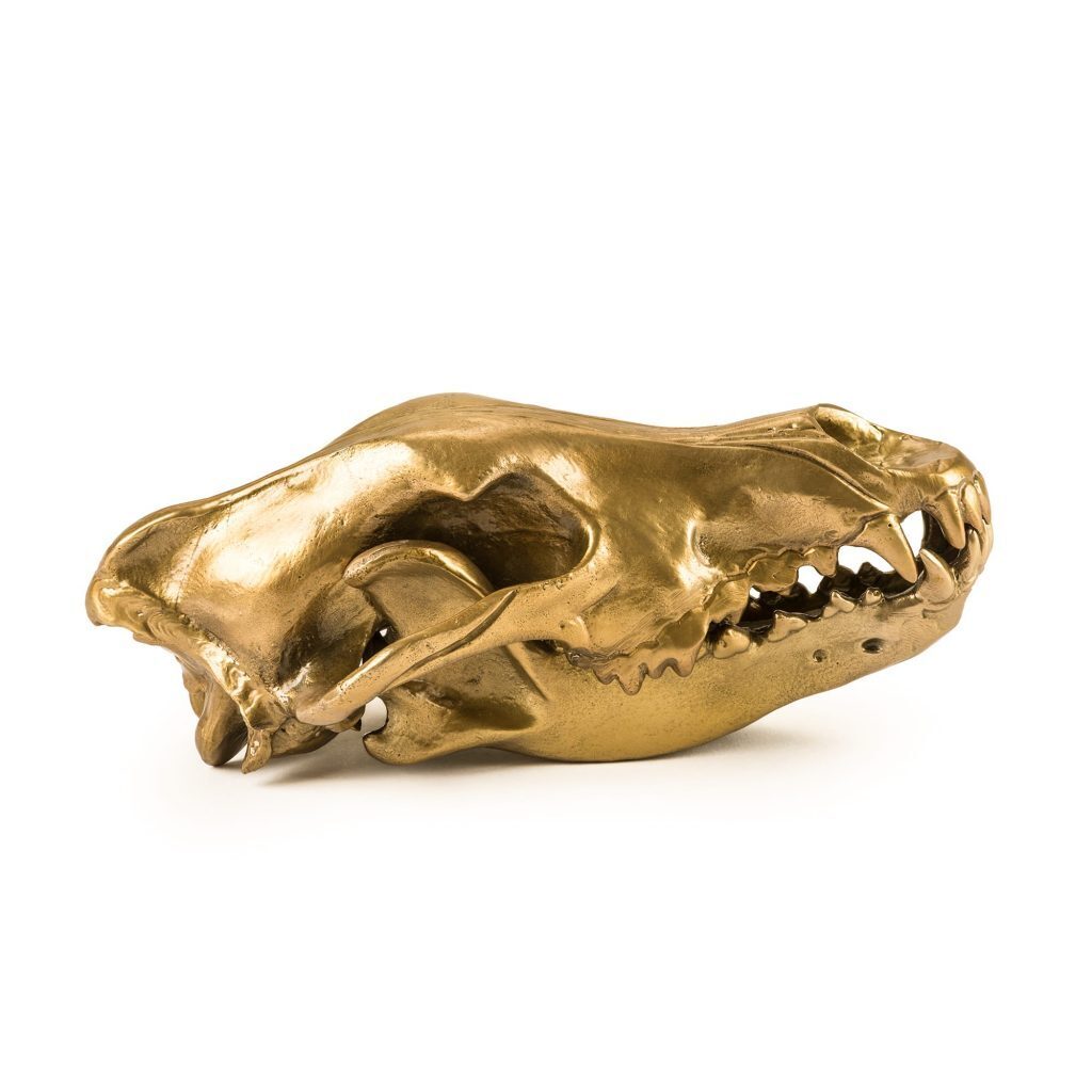 Статуэтка Seletti Wunderkrammer Wolf Skull 10892