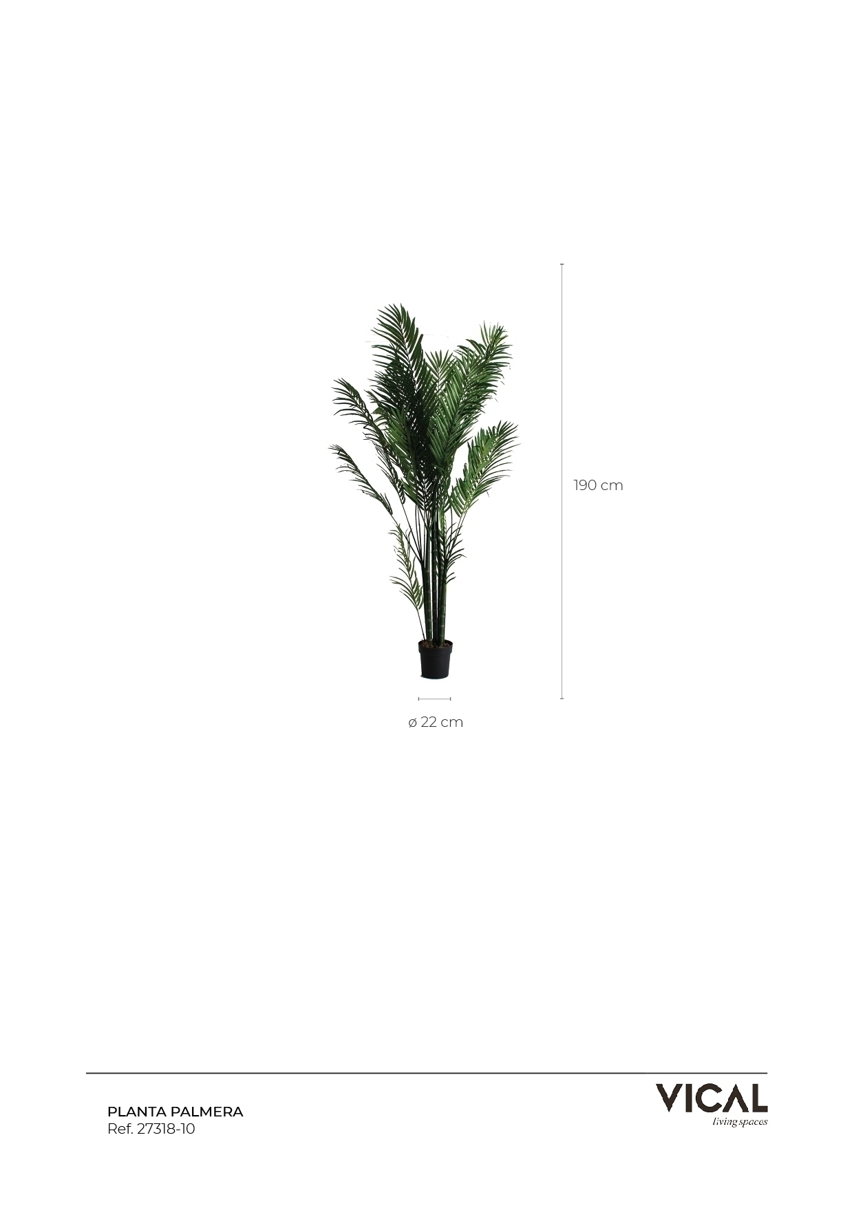 Пальмовое растение PALMERA Vical