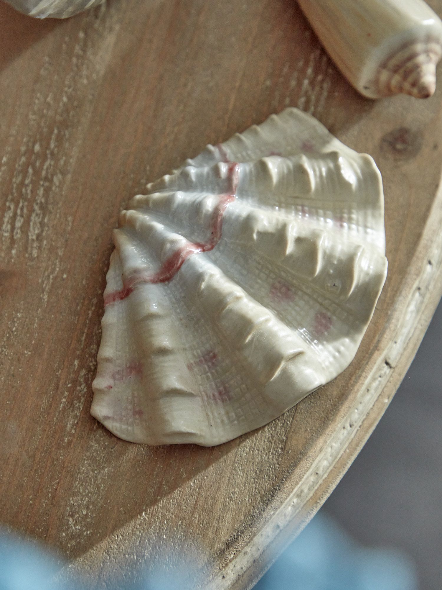 Фигурка раковина Тридакна, в ассортименте Glasar F1181/4