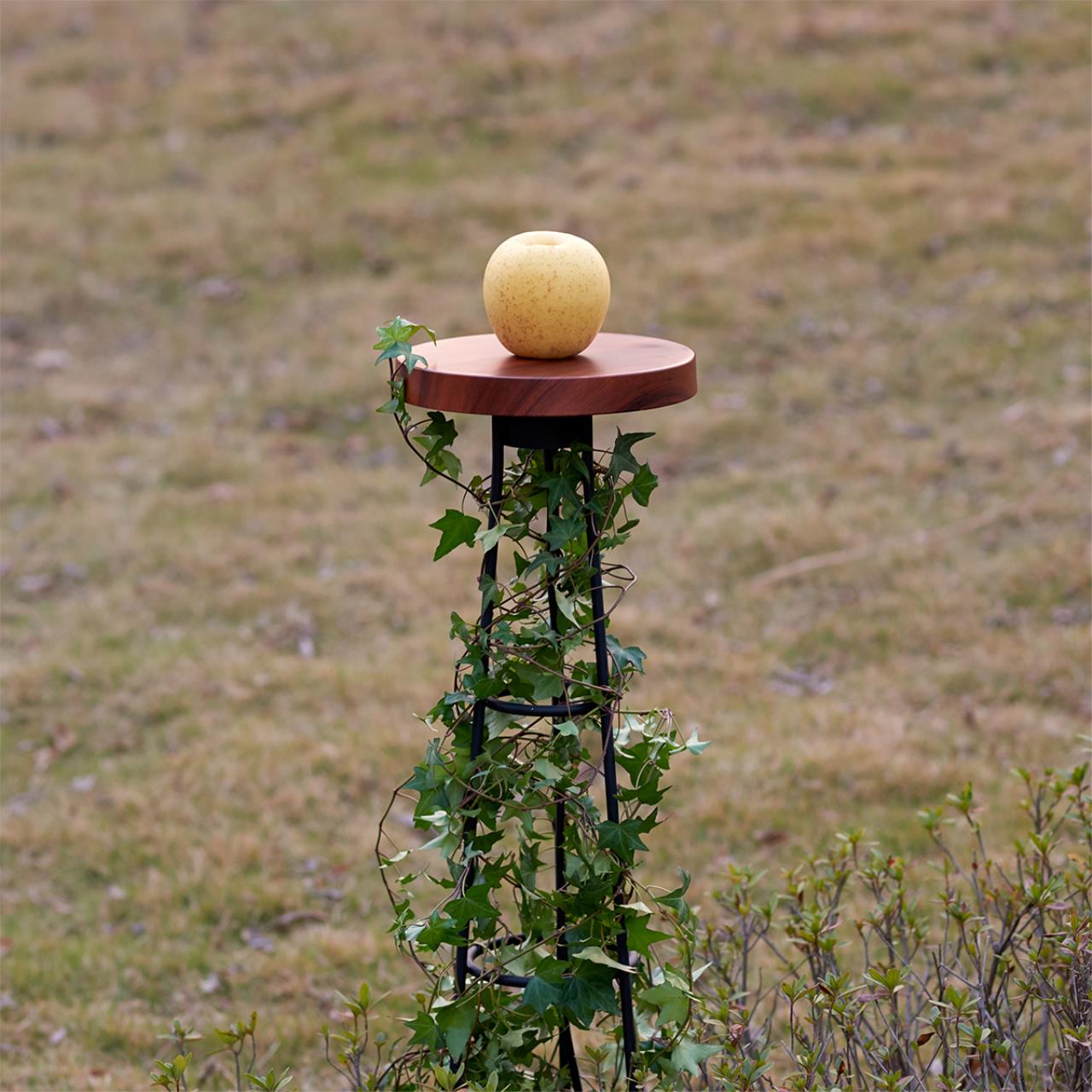 Ландшафтный грунтовый светильник Odeon Light 7108/15GL