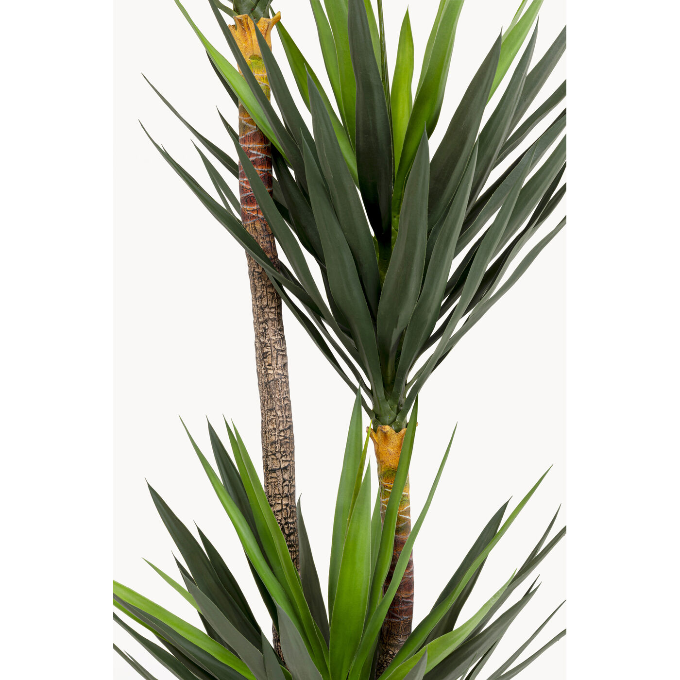 Растение декоративное Yukka 250m KARE 58435