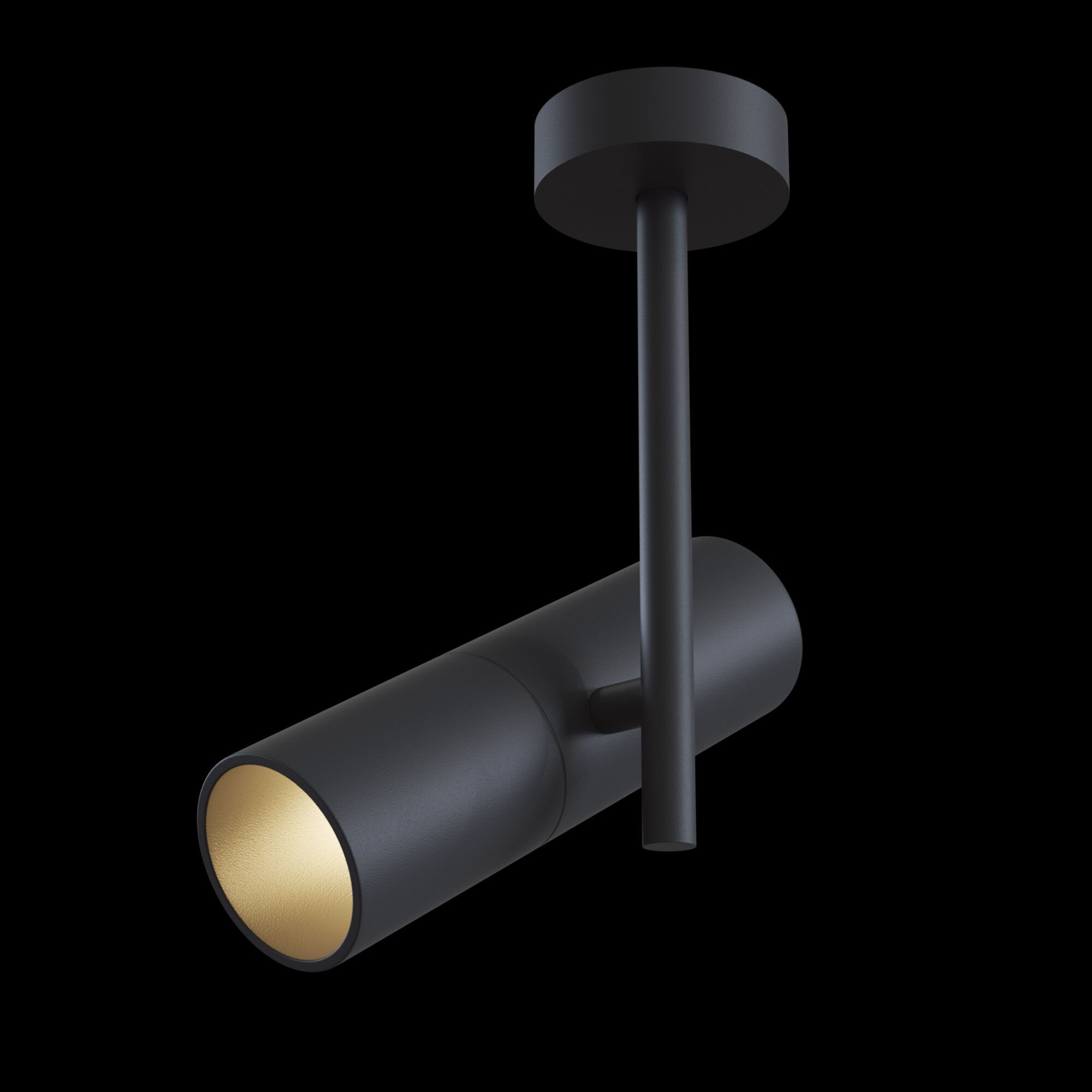 Потолочный светильник Maytoni C020CL-01B