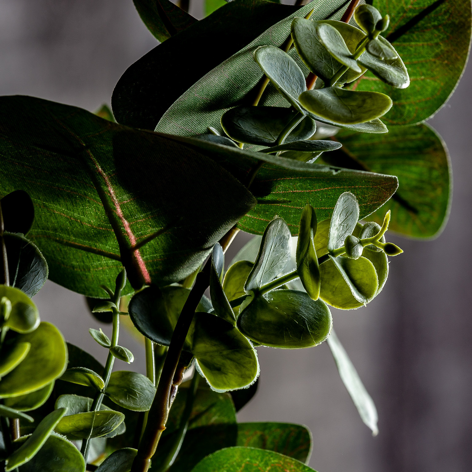 Растение в зеленом классическом стиле 26356 Vical