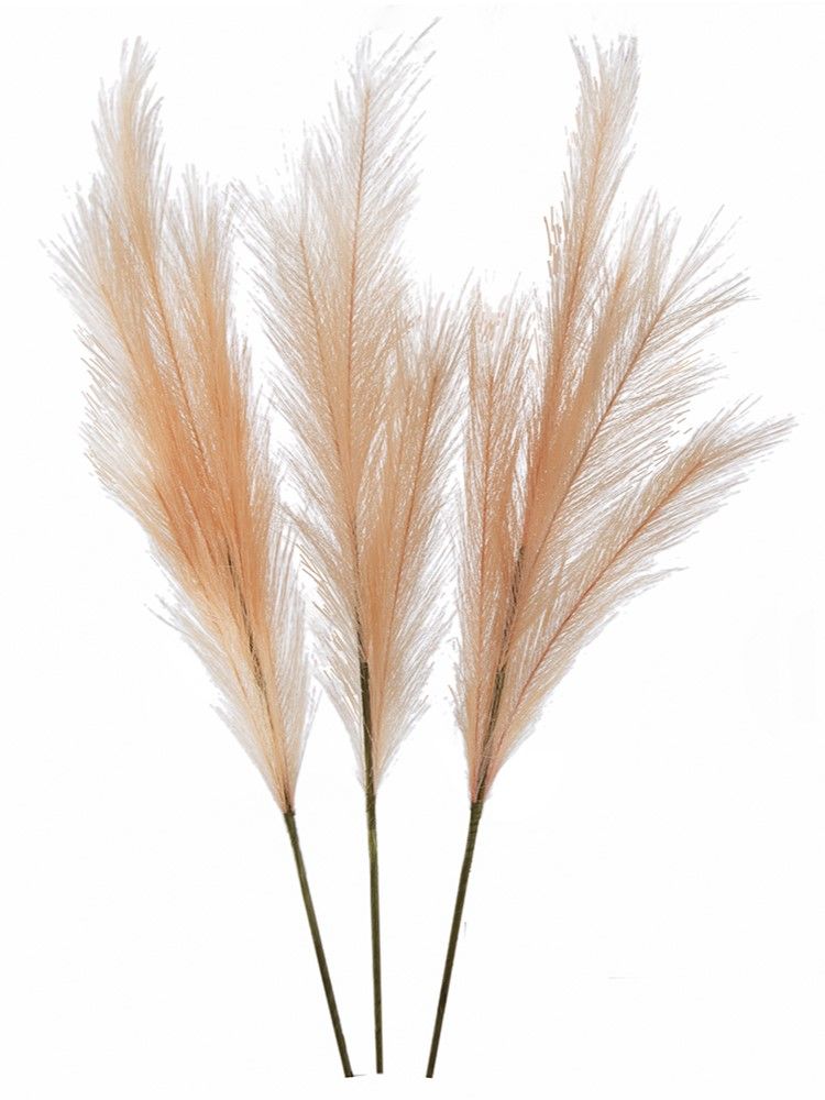 Растение декоративное Кортадерия, набор Glasar SA20013-BLUS-AB