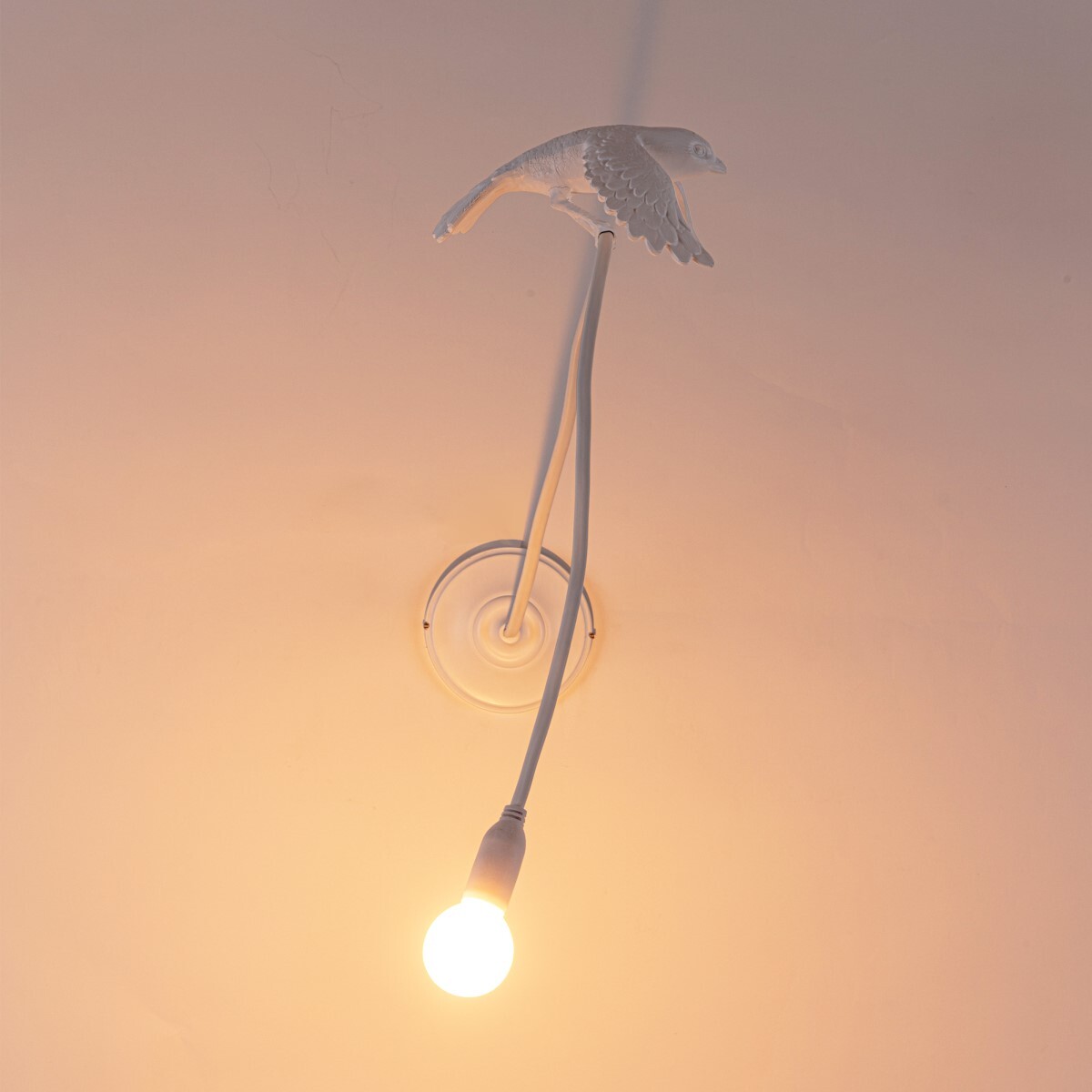 Настенный светильник Seletti Sparrow Taking Off 15315