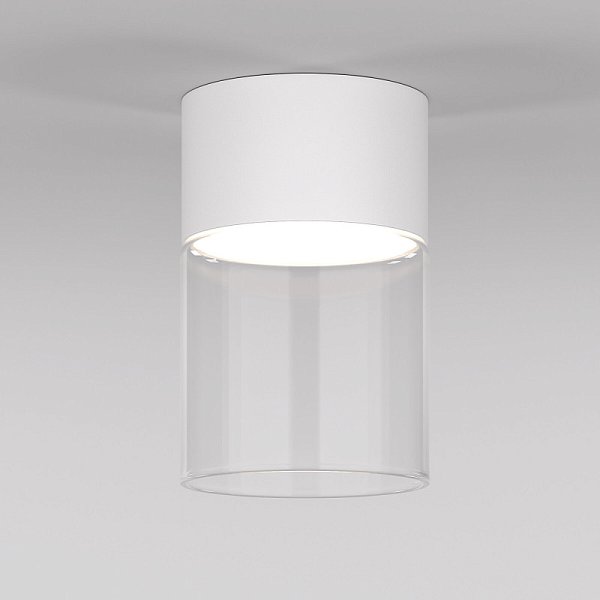 Накладной светильник Elektrostandard 25047/LED 10W 4000К белый/прозрачный