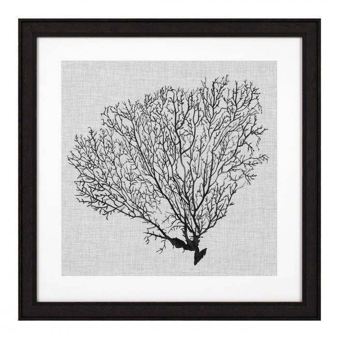 Постеры  Eichholtz Prints EC 289 Shadow Sea Fan 112752