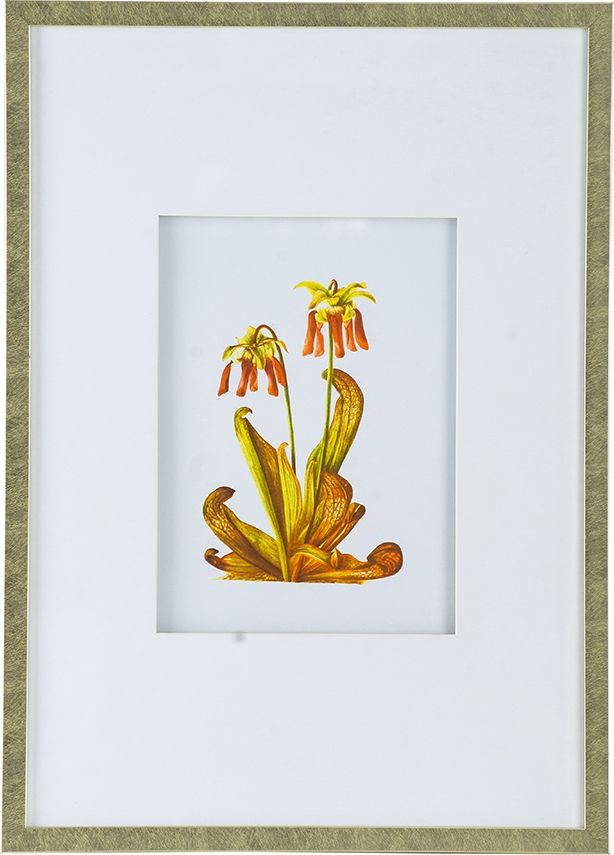 Панно Флора, Glasar SM49995